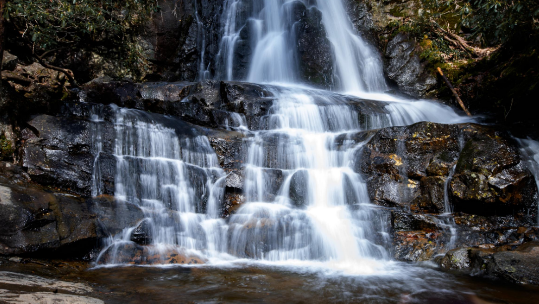 Reasons to Vacation in the Smokies Today blog image #2