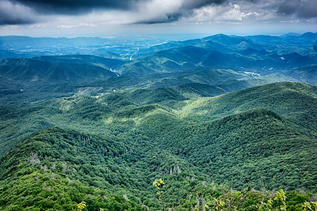 Reasons to Vacation in the Smokies Today blog image #3